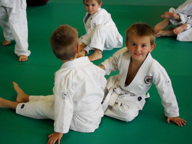 Judo Enfant Club De Judo Les Lions De Brugui Res Haute Garonne